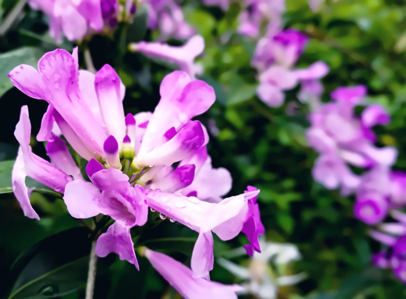 Detailed paleoecological sample analysis and research documentation process